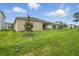 Picture of the backyard with a covered patio, a young tree, and lush green grass at 317 River Front Way, Edgewater, FL 32141