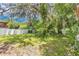 Spacious backyard featuring a charming yard, lush greenery, a tall tree, and a privacy fence at 528 Pine St, Daytona Beach, FL 32114