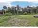 A large, grass-filled backyard with lush trees bordering the back and sides of the property at 5759 Dogwood Rd, Port Orange, FL 32127