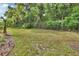 A spacious backyard is enclosed by a chain-link fence and features lush greenery at 600 N Boundary Ave # 420, Deland, FL 32720