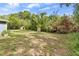 Large backyard features two small sheds with abundant mature vegetation at 710 W May St, Deland, FL 32720