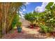 Backyard patio with a stone path, featuring lush tropical plantings and a white privacy fence at 1131 Lemonwood Ave, Deland, FL 32724