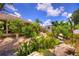 A serene backyard with a rock-lined water feature surrounded by lush greenery at 1131 Lemonwood Ave, Deland, FL 32724