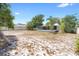 Spacious backyard featuring palm trees and plenty of room for outdoor activities and entertainment at 1561 Randolph St, Deltona, FL 32725