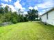 Back yard with green grass, mature trees, and clear sky, offering outdoor space for relaxation at 19320 Oberly Pkwy, Orlando, FL 32833