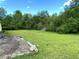 Expansive back yard featuring green grass and lush trees, providing a serene outdoor space at 19320 Oberly Pkwy, Orlando, FL 32833