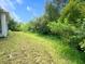 Back yard featuring well-maintained grass and natural overgrowth, offering a tranquil outdoor space at 19320 Oberly Pkwy, Orlando, FL 32833