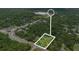 Aerial view of the property and surrounding wooded area, showcasing its serene and private location at 2 E Kelly Park Rd, Apopka, FL 32712