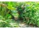 Enchanting path through a lush, tropical landscape, creating a private and secluded retreat at 2 E Kelly Park Rd, Apopka, FL 32712