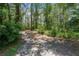 Dirt road dividing entrance to property surrounded by trees and lush vegetation at 2 E Kelly Park Rd, Apopka, FL 32712