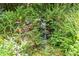 Small waterfall over river rock in a lush, green garden setting at 2 E Kelly Park Rd, Apopka, FL 32712
