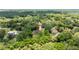 Aerial view of the home, nestled in a neighborhood surrounded by trees at 2455 Whooping Crane Dr, De Leon Springs, FL 32130