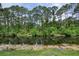 Scenic backyard view of the tranquil water and lush greenery, offering a serene and private setting at 3428 Saltee Cir, Ormond Beach, FL 32174
