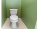 Toilet in a bathroom with bright green walls at 452 Casa Marina Pl, Sanford, FL 32771