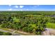 Bird's-eye view of estate with mature trees showcasing the property's landscape and serene country setting at 4885 State Road 11, De Leon Springs, FL 32130