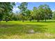 Expansive green field with scattered trees, perfect for recreation or development at 4885 State Road 11, De Leon Springs, FL 32130