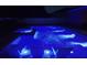 Backyard pool and hot tub with vibrant blue lighting create a relaxing ambiance for evening swims at 508 Morgan Wood Dr, Deland, FL 32724