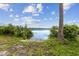 Lakeside access with natural vegetation leading to tranquil waters under a blue sky at 510 Sandy Bluff Trl, Deland, FL 32724