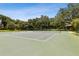 Well-maintained community tennis courts, perfect for active living and recreation at 510 Sandy Bluff Trl, Deland, FL 32724