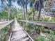 Scenic boardwalk path surrounded by tropical foliage, offering a peaceful outdoor experience at 5300 S Atlantic Ave # 12-401, New Smyrna Beach, FL 32169