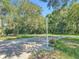 Quiet street view with mature trees and a glimpse of the property's driveway and flagpole at 28432 Tammi Dr, Tavares, FL 32778