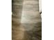 Close-up of stylish wood-look tile flooring with subtle grain patterns at 3339 Croton Ave, Deltona, FL 32738