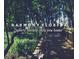 Nature trail boardwalk through lush greenery at Harmony at 6915 Five Oaks Dr, St Cloud, FL 34773