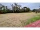 Large backyard with mature trees and open space at 13660 Se 80Th Ave, Summerfield, FL 34491