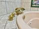 Close-up of a unique gold faucet and jacuzzi tub at 13660 Se 80Th Ave, Summerfield, FL 34491
