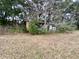 Small outbuilding partially overgrown with vegetation at 13660 Se 80Th Ave, Summerfield, FL 34491