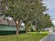 A view of the street with lush trees and well-maintained lawns at 8320 Sw 82Nd Loop, Ocala, FL 34481