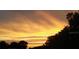 Beautiful sunset view over a natural landscape with lush trees at 5030 Alderman Rd, Lakeland, FL 33810