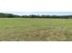 Spacious backyard area with plenty of room to roam and green space for animals at 9773 Sw 63Rd Loop, Ocala, FL 34481