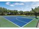 Community basketball court with blue and green surfaces surrounded by lush trees at 6917 Five Oaks Dr, St Cloud, FL 34773