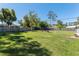 Large backyard featuring a spacious lawn, mature trees, and a privacy fence, offering ample space for recreation at 3200 Se 34Th St, Ocala, FL 34471