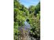 Creek flowing through lush greenery offers a peaceful and scenic water feature, great for nature lovers at 3815 Se 25Th St, Bushnell, FL 33513