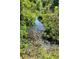A serene creek flowing through lush greenery creates a tranquil and picturesque natural setting at 3815 Se 25Th St, Bushnell, FL 33513