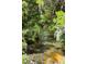 A serene view of the stream surrounded by lush greenery and mossy trees at 3815 Se 25Th St, Bushnell, FL 33513