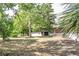Large backyard featuring mature trees and a utility shed, offering ample outdoor space at 910 Nw 56Th Ave, Ocala, FL 34482
