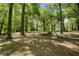 Scenic view of the property showcasing the home surrounded by mature trees and natural landscape at 2955 Se 156Th Place Rd, Summerfield, FL 34491