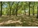 Expansive property view featuring a wooded landscape and a glimpse of the charming log home at 2955 Se 156Th Place Rd, Summerfield, FL 34491