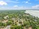 Expansive aerial shot showcasing the lakeside neighborhood and dense woodland surroundings under a partly cloudy sky at 1161 Cr 443, Lake Panasoffkee, FL 33538