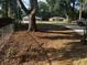 Spacious backyard with lush greenery at 3346 Se 131St Pl, Belleview, FL 34420