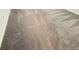 Neutral carpeting with visible vacuum lines, ready for your personal touch and decor at 7433 Stone Creek Trl, Kissimmee, FL 34747