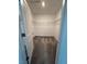 Walk-in closet with neutral carpeting and metal shelving for optimal organization at 7433 Stone Creek Trl, Kissimmee, FL 34747