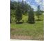 Beautiful backyard features a lush lawn, mulch, and trees at 1129 Red Buckeye Ct, Deland, FL 32720