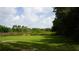 Expansive green lawn, showcasing a large outdoor space bordered by dense trees at 1315 Veech Rd, Leesburg, FL 34748