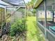 Backyard view showcasing the privacy fence, shed, and screened-in patio at 774 Hendrix Ave, Orlando, FL 32825
