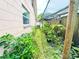 Side yard with lush foliage and gardening potential, offering a peaceful outdoor space at 774 Hendrix Ave, Orlando, FL 32825