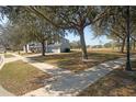 Residential street and adjacent lawn with mature landscaping around the property at 33953 Terragona Dr, Sorrento, FL 32776